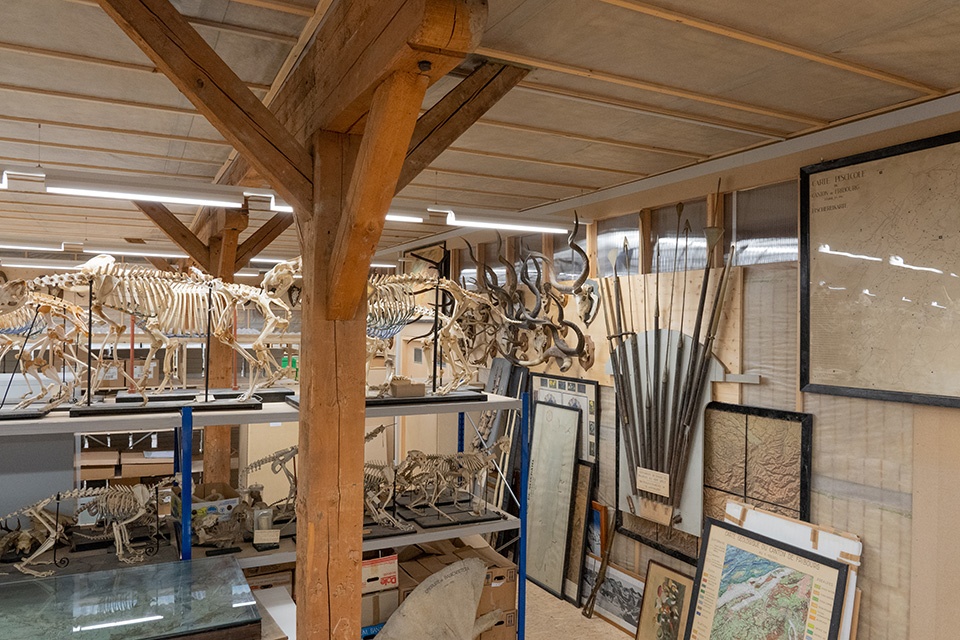 Collection scientifique du Musée d'histoire naturelle de Fribourg