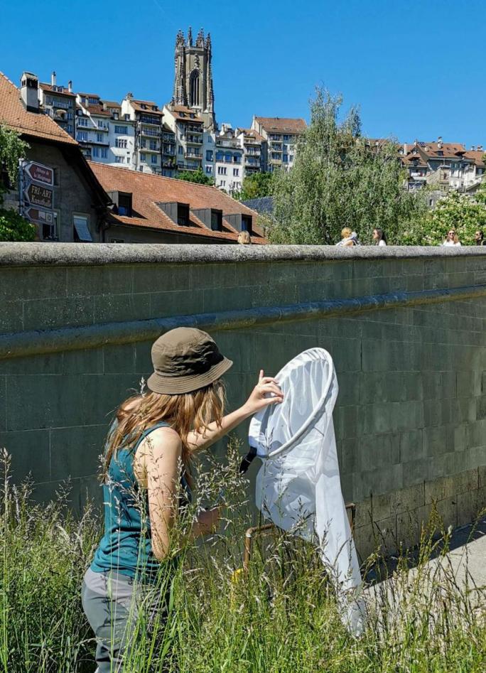 Auf Insektensuche mit dem Fangnetz