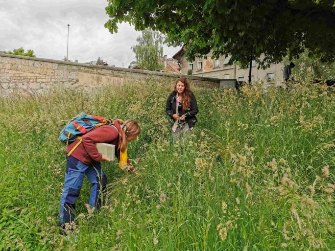 Les botanistes en action ! 