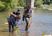 Pêche électrique à la Sarine 