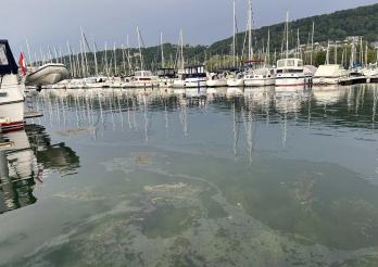 20240812_Pollution dans le port de Cheyres