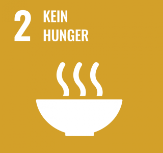 SDG2