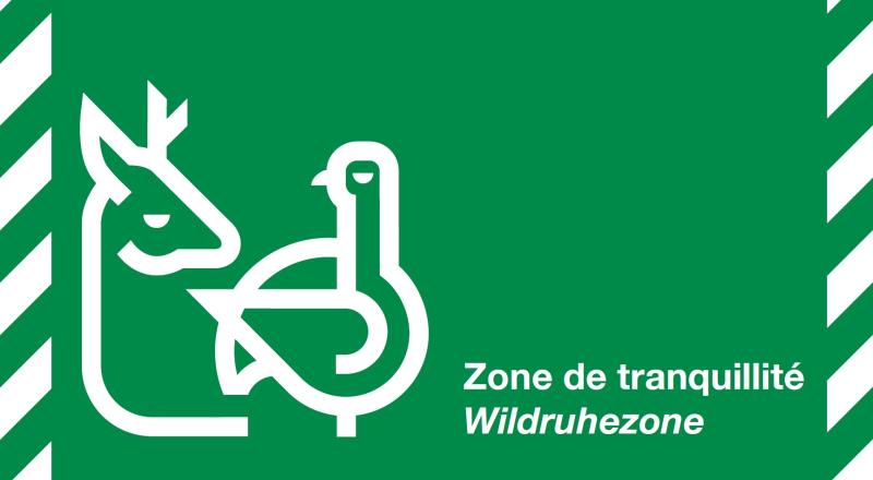 Wildruhezone