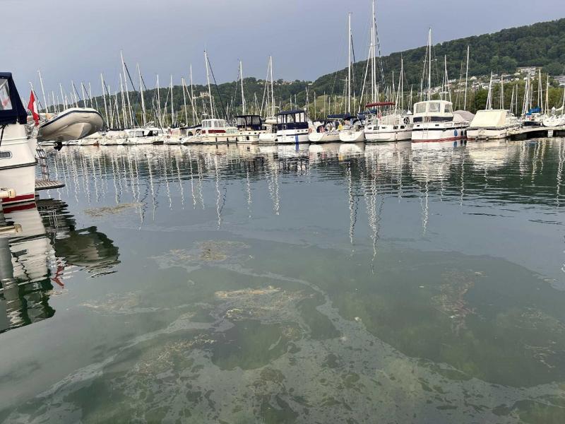 20240812_Pollution dans le port de Cheyres