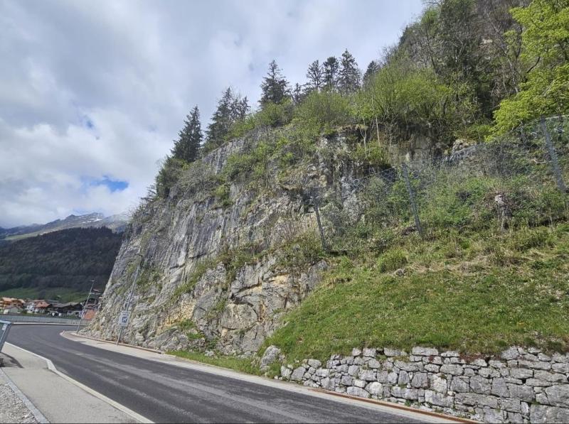 Photo de la falaise concernée 