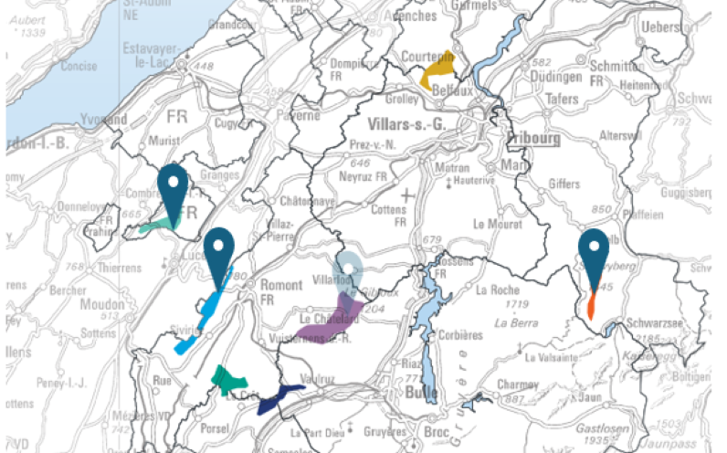 Carte mats de mesure 